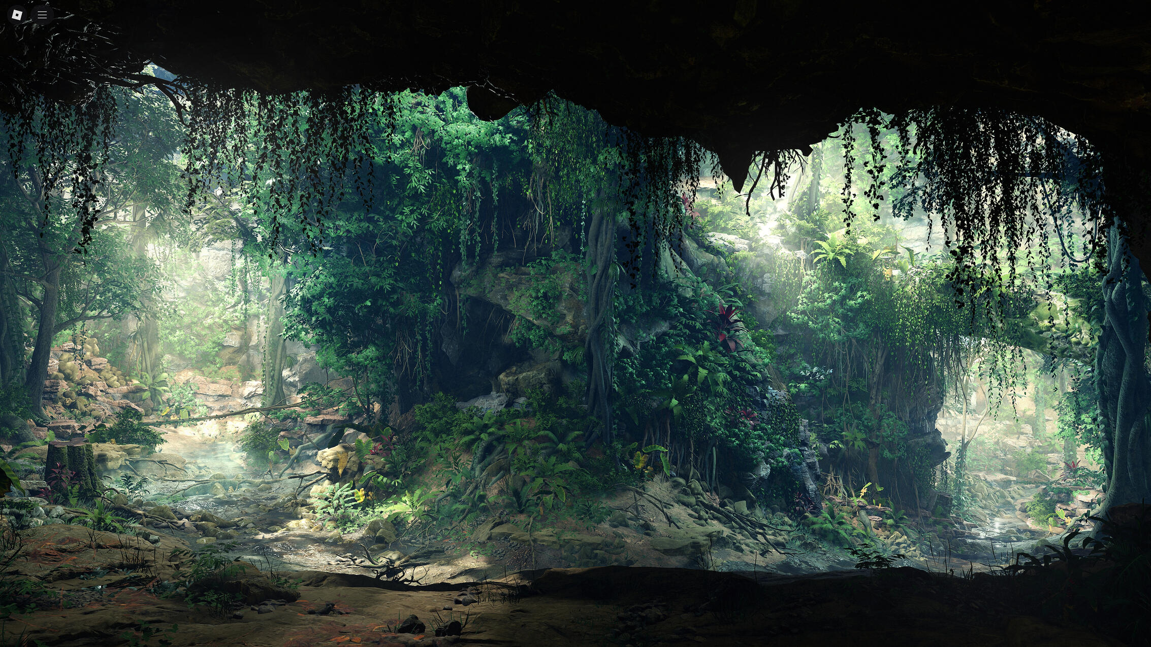 The Jungle Hollow